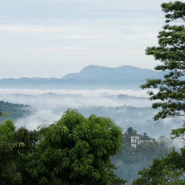 Best dental vacation stays sri lanka