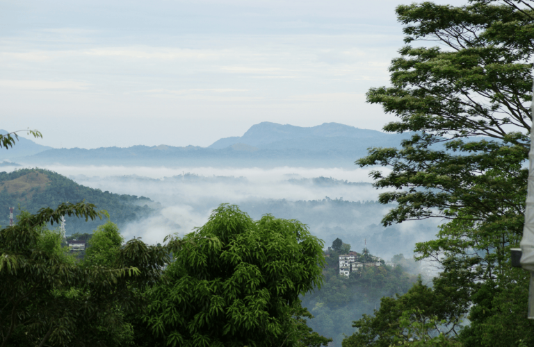 Best dental vacation stays sri lanka